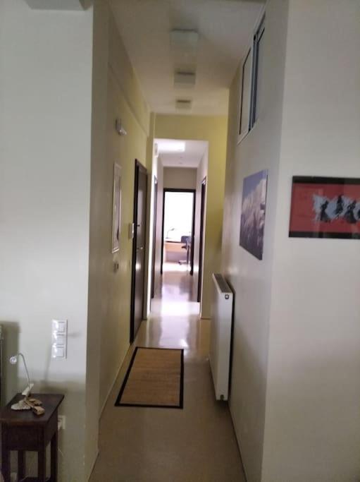 Apartment Platonos Academy *