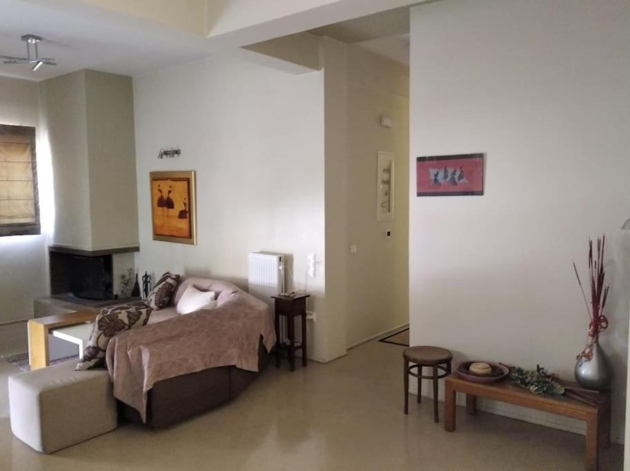 Apartment Platonos Academy